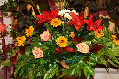 IMG_6485.JPG