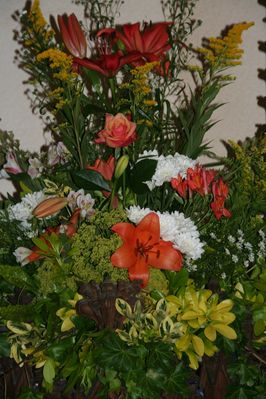 IMG_6490.JPG