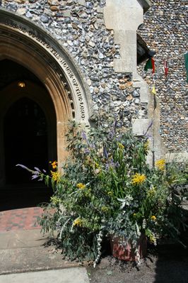 IMG_6493.JPG