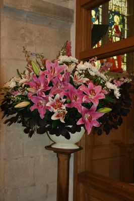 IMG_6502.JPG