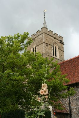 IMG_6524.JPG
