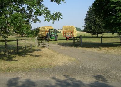 Bringing in the Hay
