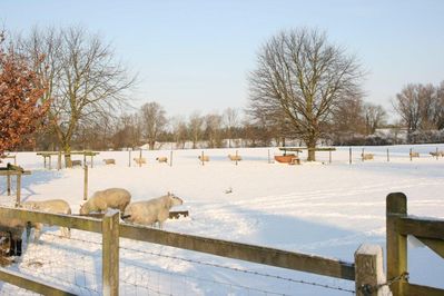 Snowy Day On The Farm
