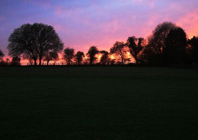 Sunset Over The Pasture
