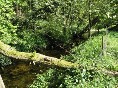 The River Rib by the Football Field
