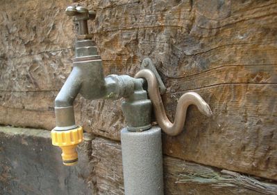 Westmill Serpent Seeks Drink
