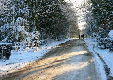 Winter Stroll, Westmill
