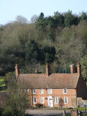 Sissons In The Trees
