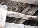 DSC00897.jpg