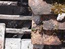 DSC00899.jpg