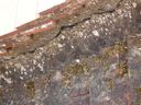 DSC00903.jpg