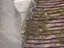 DSC00912.jpg