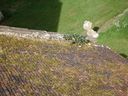 DSC00920.jpg