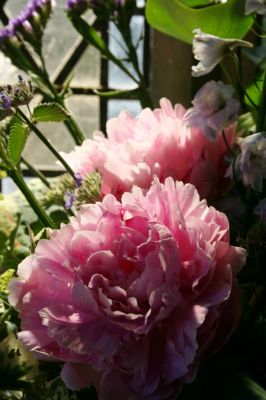 All Things Bright And Beautiful
