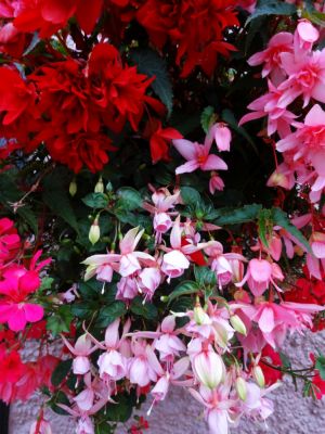 All Things Bright And Beautiful
