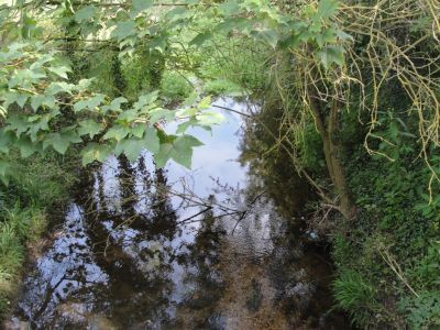 Beside The Still Waters

