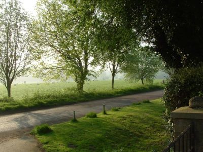 Morning Has Broken
