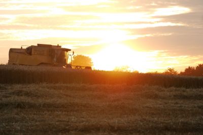 Raise The Song Of Harvest Home
